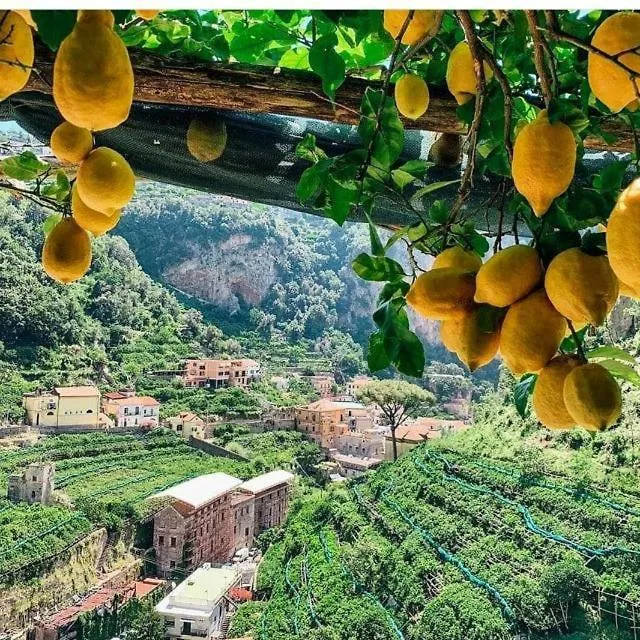 Bed and Breakfast La Valle Delle Ferriere Amalfi Itálie